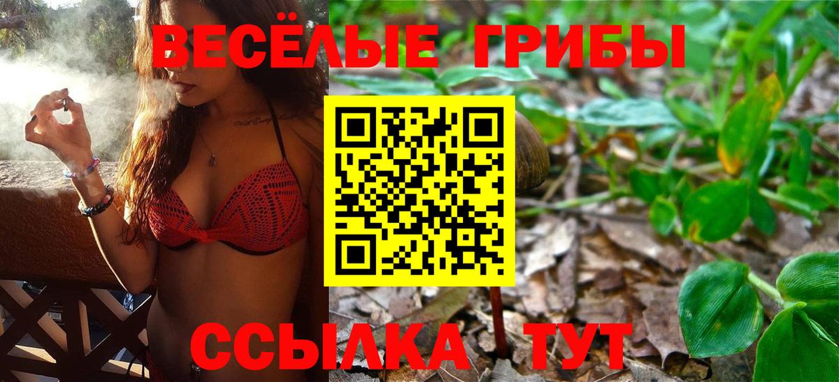 Новый Уренгой  Галлюциногенные грибы GOLDEN TEACHER  где можно купить   Вход с VPN 