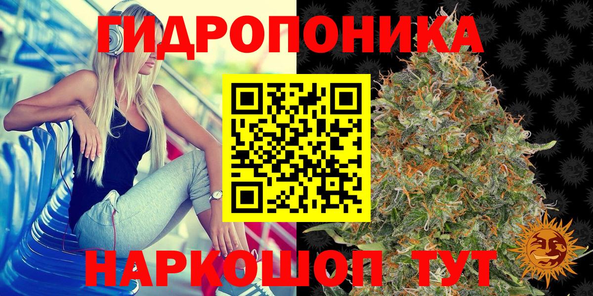 Шишки марихуана OG Kush Новый Уренгой
